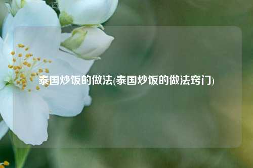 泰国炒饭的做法(泰国炒饭的做法窍门)