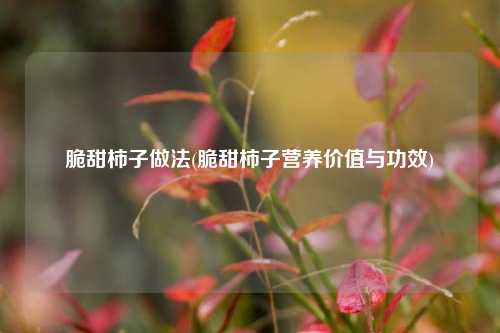 脆甜柿子做法(脆甜柿子营养价值与功效)