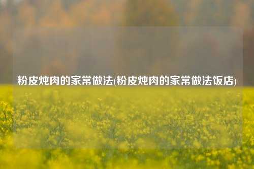 粉皮炖肉的家常做法(粉皮炖肉的家常做法饭店)