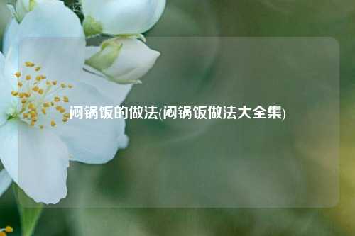 闷锅饭的做法(闷锅饭做法大全集)