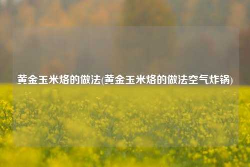 黄金玉米烙的做法(黄金玉米烙的做法空气炸锅)