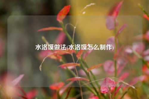 水洛馍做法(水洛馍怎么制作)