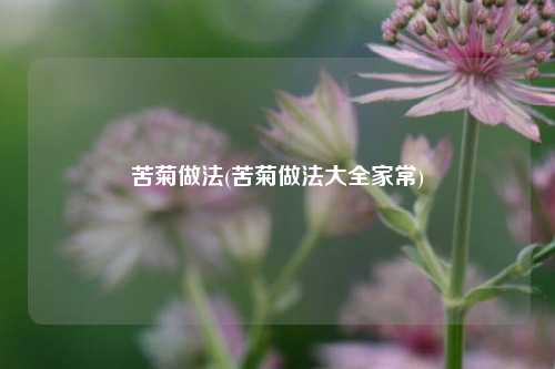 苦菊做法(苦菊做法大全家常)
