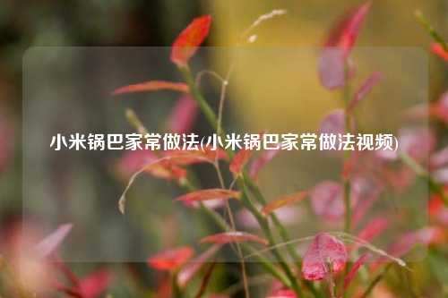 小米锅巴家常做法(小米锅巴家常做法视频)