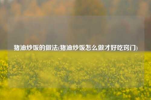 猪油炒饭的做法(猪油炒饭怎么做才好吃窍门)