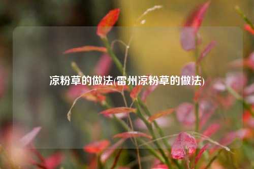 凉粉草的做法(雷州凉粉草的做法)