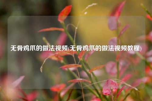 无骨鸡爪的做法视频(无骨鸡爪的做法视频教程)