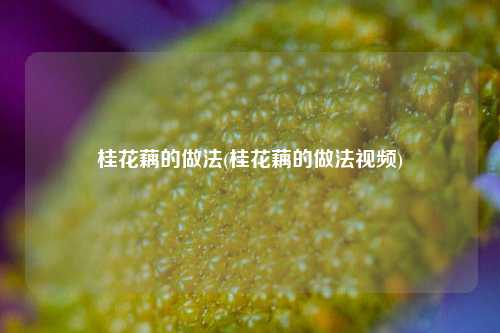 桂花藕的做法(桂花藕的做法视频)