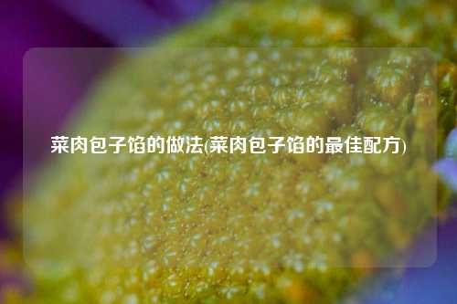 菜肉包子馅的做法(菜肉包子馅的最佳配方)