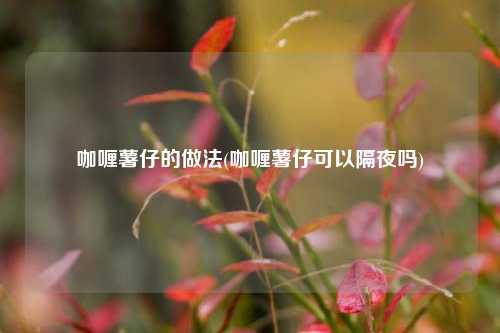 咖喱薯仔的做法(咖喱薯仔可以隔夜吗)